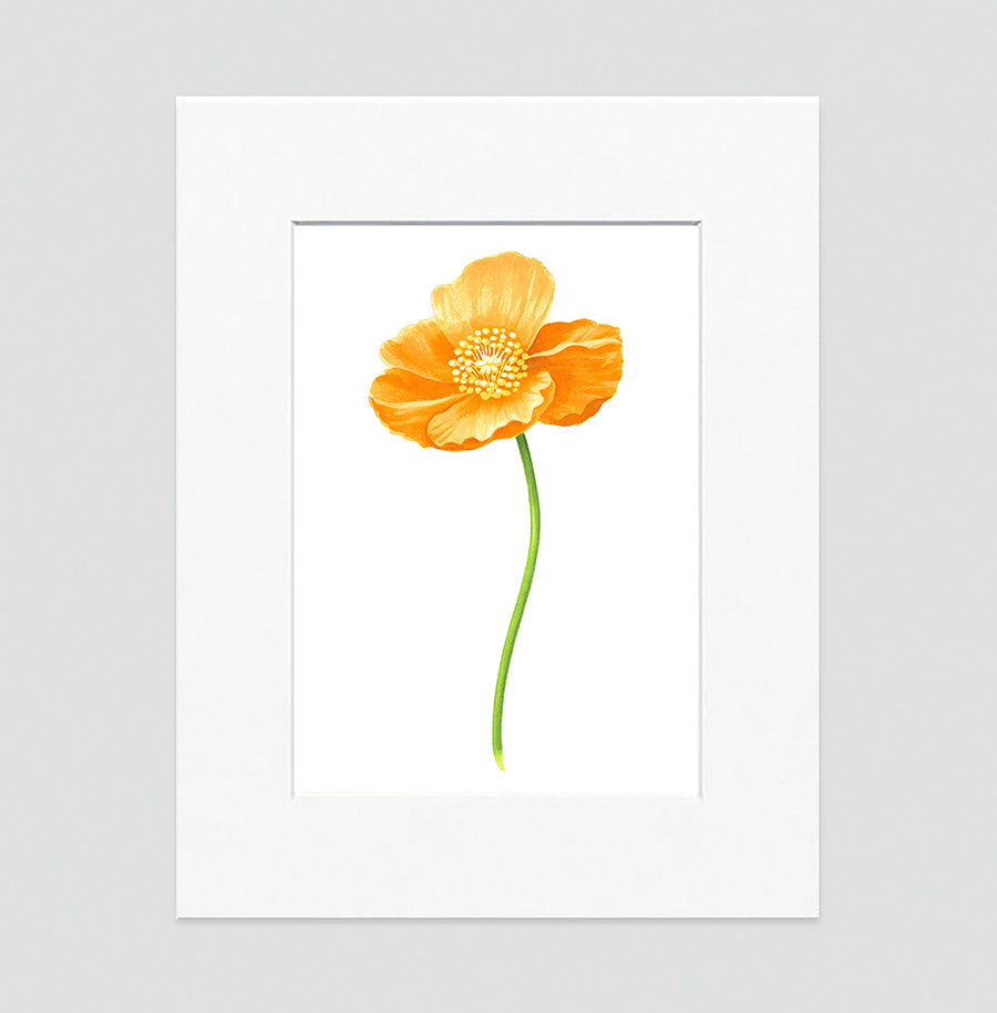 Poppy Gold Large Art Print - Floral Art Wall Decor Collection-Di Lewis