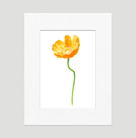 Poppy Gold Small Art Print - Floral Art Wall Decor Collection-Di Lewis
