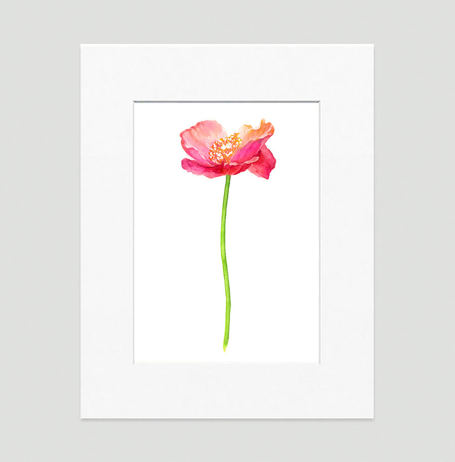 Poppy Pink Art Print - Floral Art Wall Decor Collection-Di Lewis