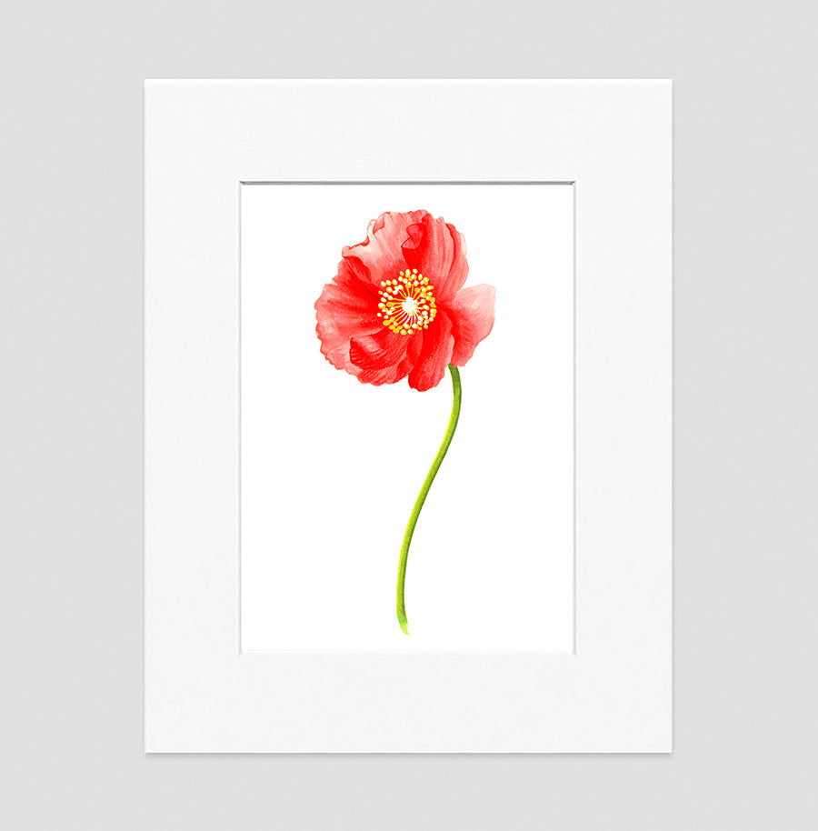 Poppy Red Art Print - Floral Art Wall Decor Collection-Di Lewis