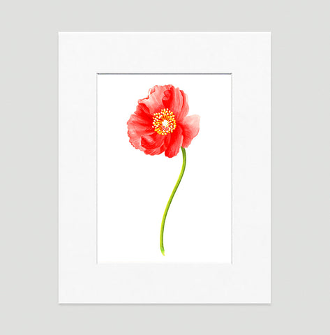 Poppy Red Art Print - Floral Art Wall Decor Collection-Di Lewis