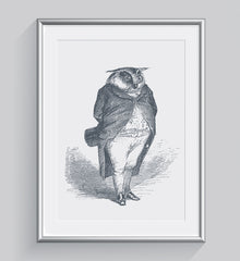 The Distinguished Owl Art Print - Animal Illustrations Wall Art Collection-Di Lewis