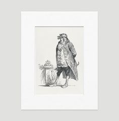 The Honorable Falcon Art Print - Animal Illustrations Wall Art Collection-Di Lewis