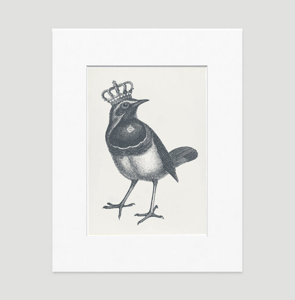 Royal Robin Art Print - Animal Illustrations Wall Art Collection The Royal Robin Art Print - Animal Illustrations Wall Art Collection-Di Lewis