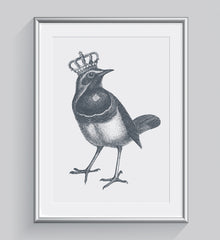 The Royal Robin Art Print - Animal Illustrations Wall Art Collection-Di Lewis