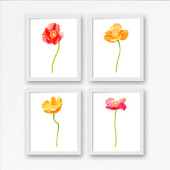 Poppy Pink Art Print - Floral Art Wall Decor Collection-Di Lewis