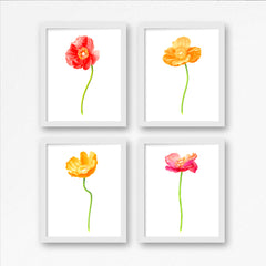 Poppy Gold Large Art Print - Floral Art Wall Decor Collection-Di Lewis