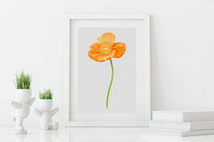 Poppy Gold Large Art Print - Floral Art Wall Decor Collection-Di Lewis