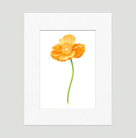 Poppy Gold Large Art Print - Floral Art Wall Decor Collection-Di Lewis