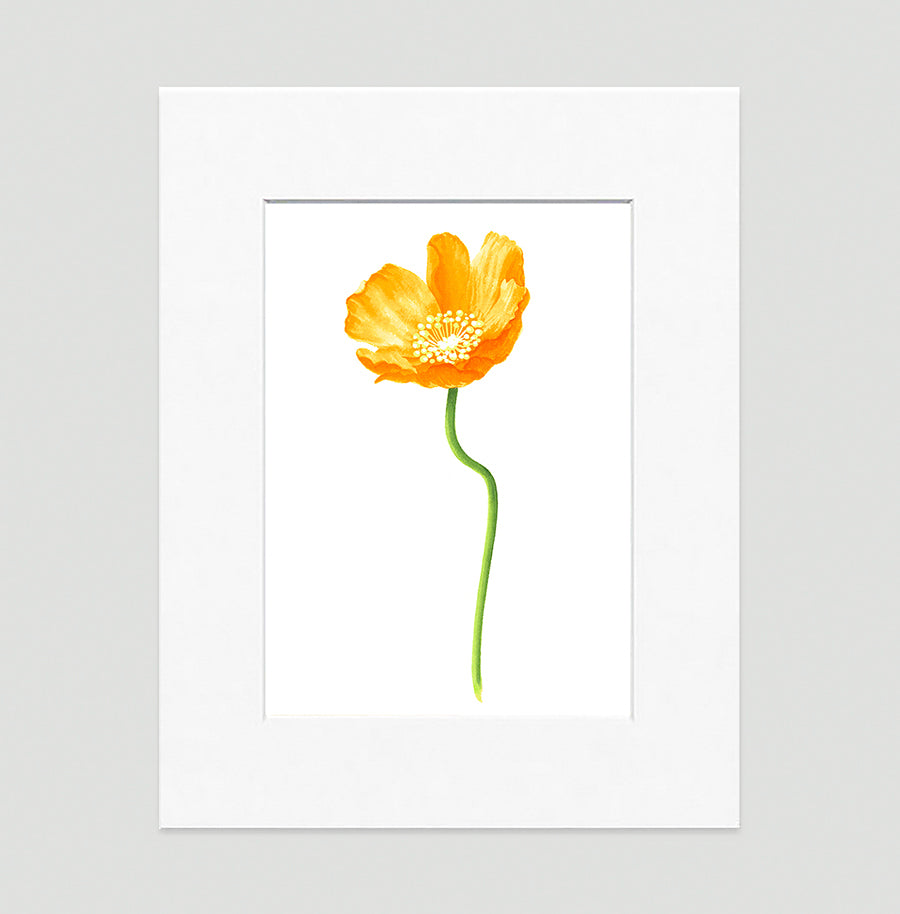 Poppy Gold Small Art Print - Floral Art Wall Decor Collection-Di Lewis