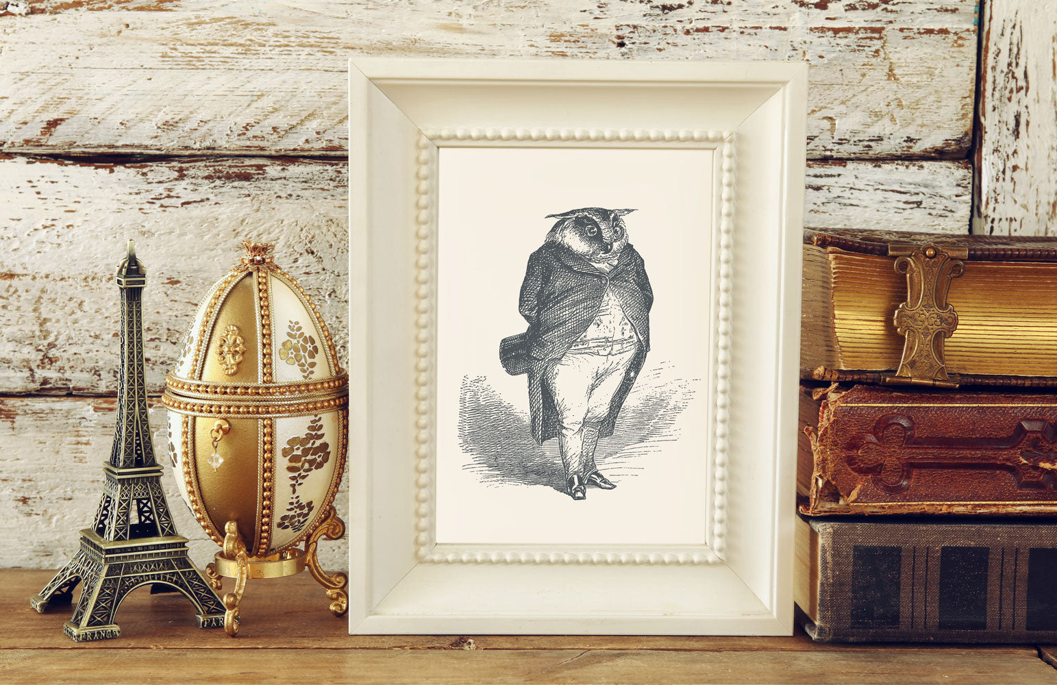 The Distinguished Owl Art Print - Animal Illustrations Wall Art Collection-Di Lewis