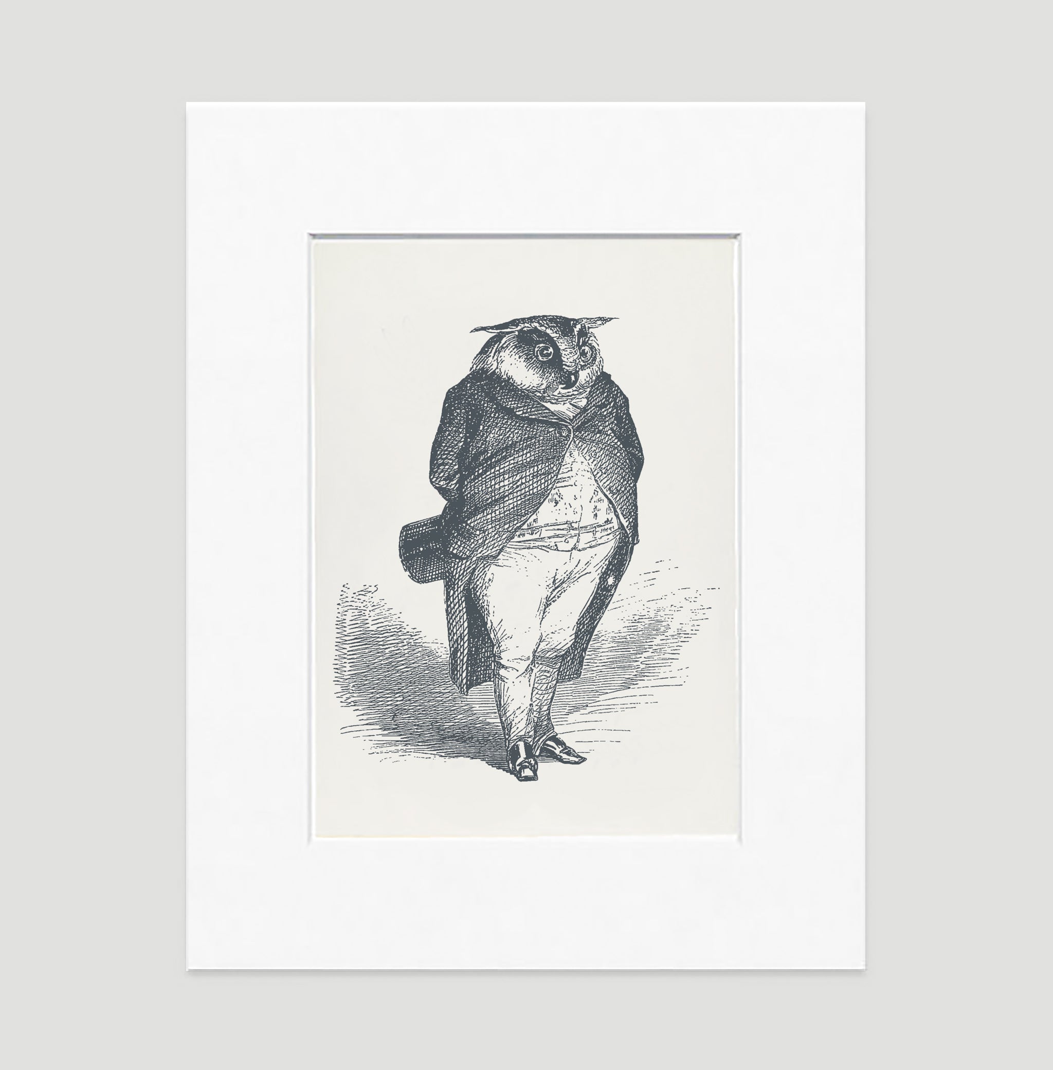 The Distinguished Owl Art Print - Animal Illustrations Wall Art Collection-Di Lewis