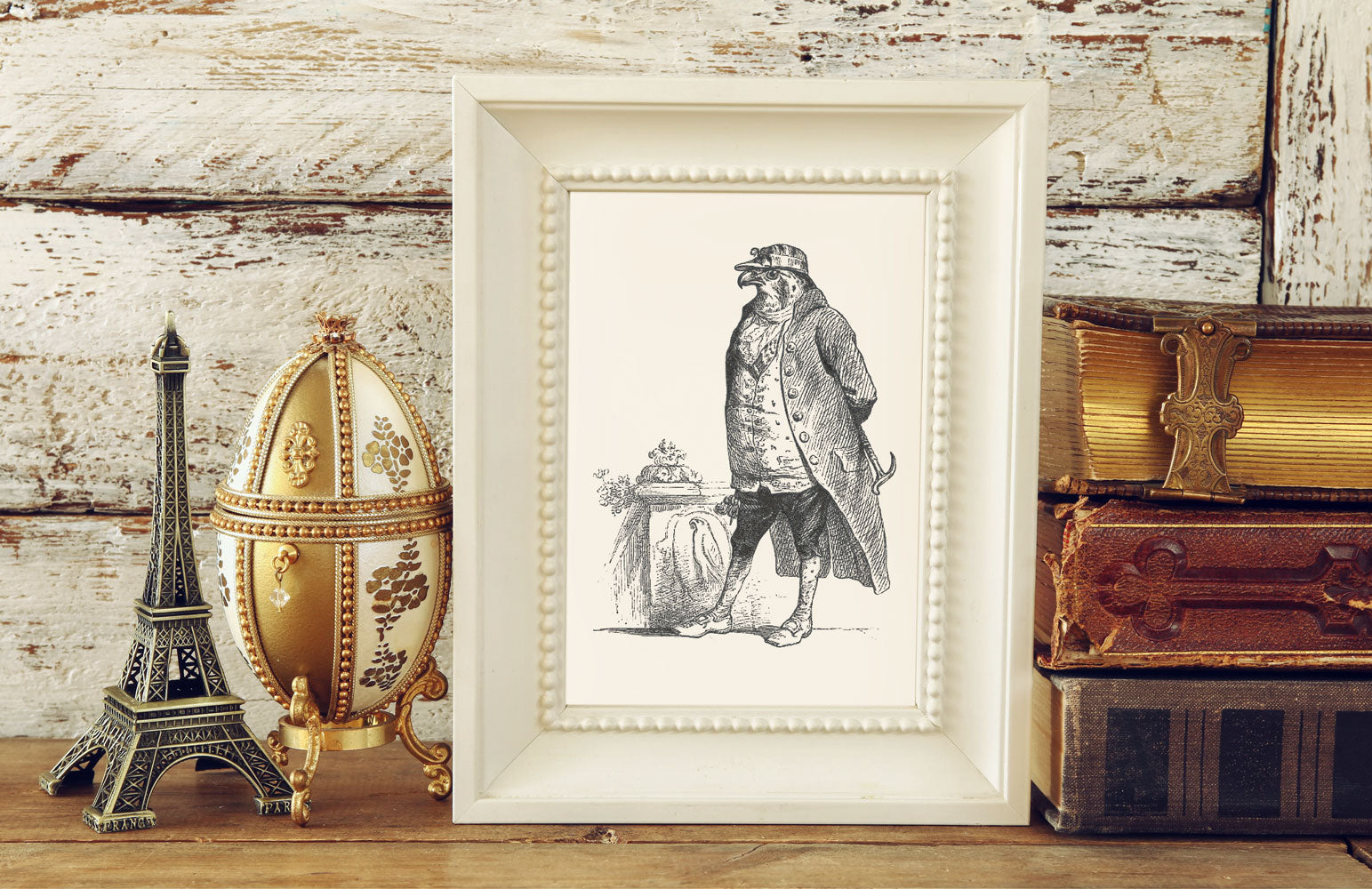The Honorable Falcon Art Print - Animal Illustrations Wall Art Collection-Di Lewis