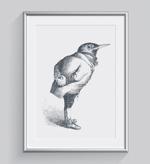 The Humble Starling Art Print - Animal Illustrations Wall Art Collection-Di Lewis
