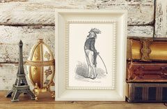 The Proud Cock Art Print - Animal Illustrations Wall Art Collection-Di Lewis
